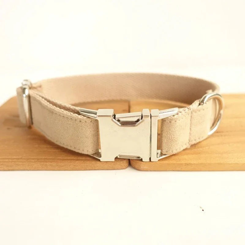 Collier personnalisable velours pour chien beige avec boucle métallique argentée de Oscar et Plume