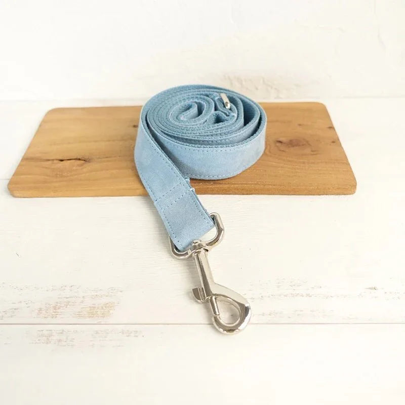 Laisse bleu en velours avec attache métallique pour chien collier personnalisable velours pour chien