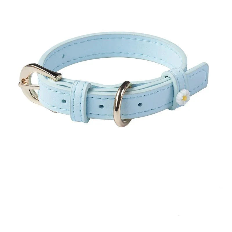 Collier pour chat bleu ciel en cuir avec boucle argentée et petite fleur décorative