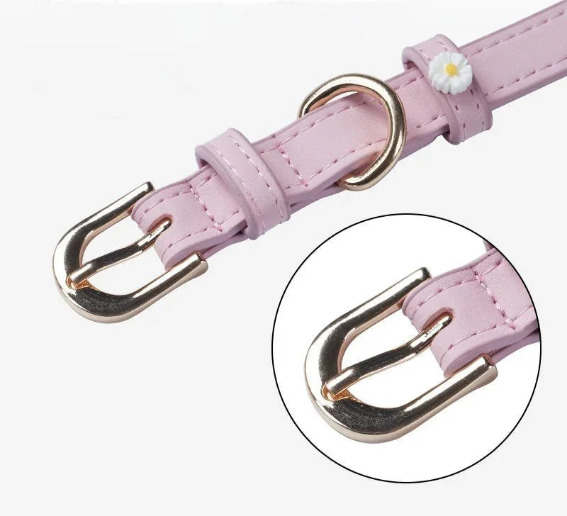 Collier Elégant Et Confortable Pour Chat