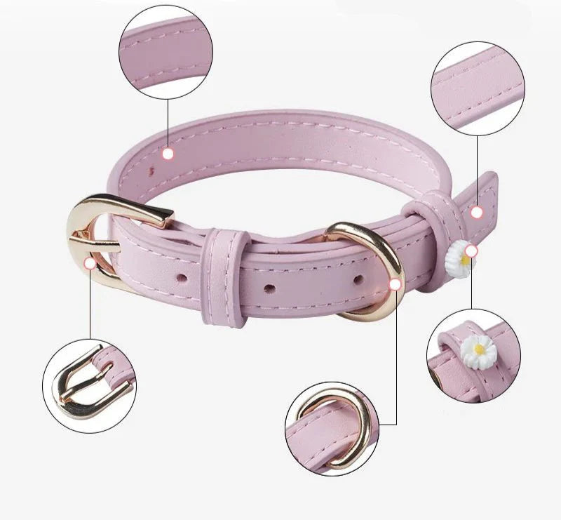 Collier Elégant Et Confortable Pour Chat