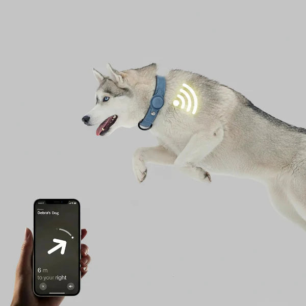 Collier Pour Chien Airtag Résistant