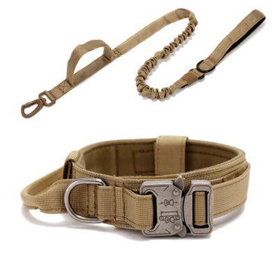 Collier pour chien - Tactique