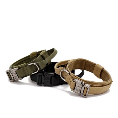 Collier pour chien - Tactique