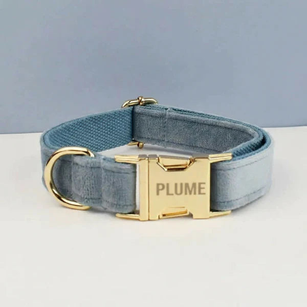 Collier pour chien design en bleu avec boucle dorée et inscription personnalisée 'JUNIPER'