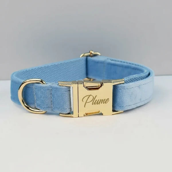 Collier pour chien design en bleu clair avec boucle dorée et personnalisation