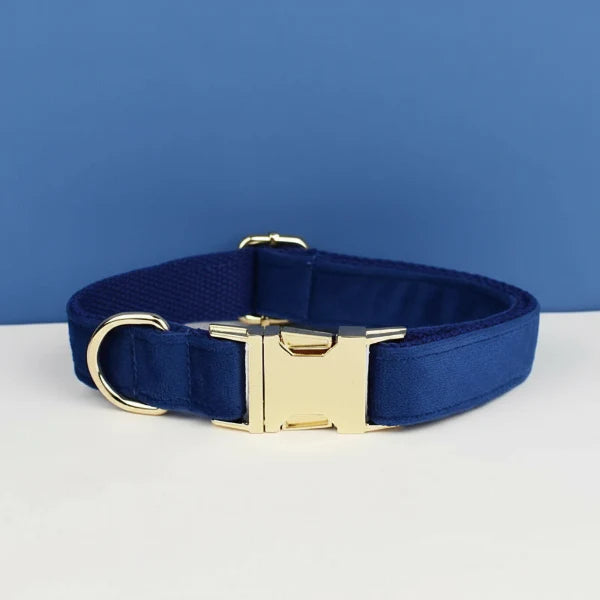 Collier pour chien design en bleu avec boucle dorée et tissu doux pour le confort des animaux