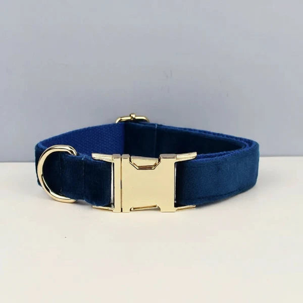 Collier pour chien design en velours bleu avec boucle dorée élégante
