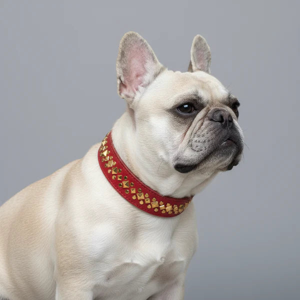 Collier Clouté Pour Chien En Cuir Synthétique - Les Bonnes Affaires