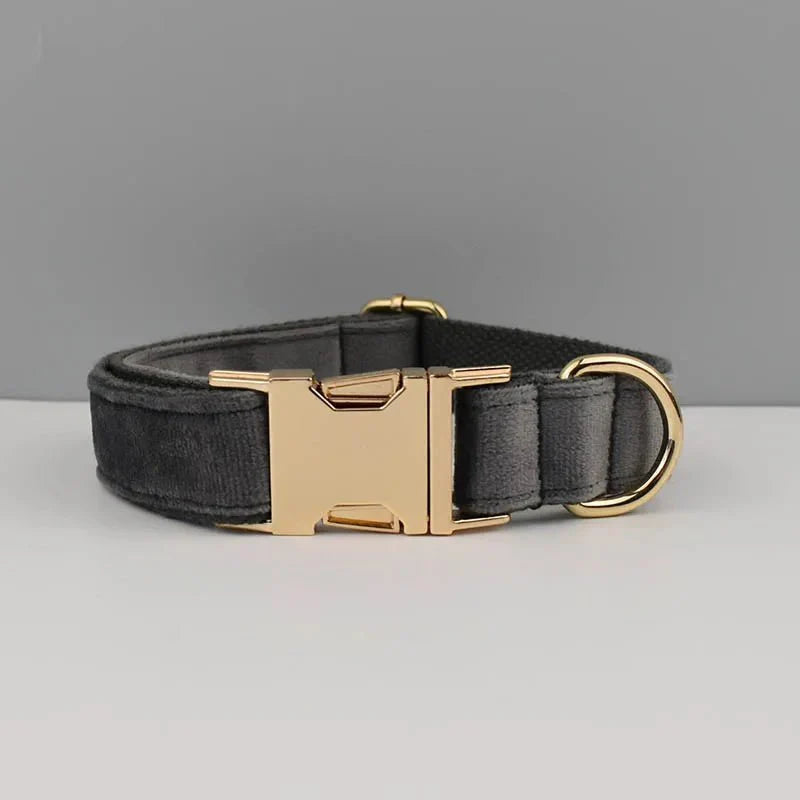 Collier pour chien design en velours noir avec boucle dorée élégante