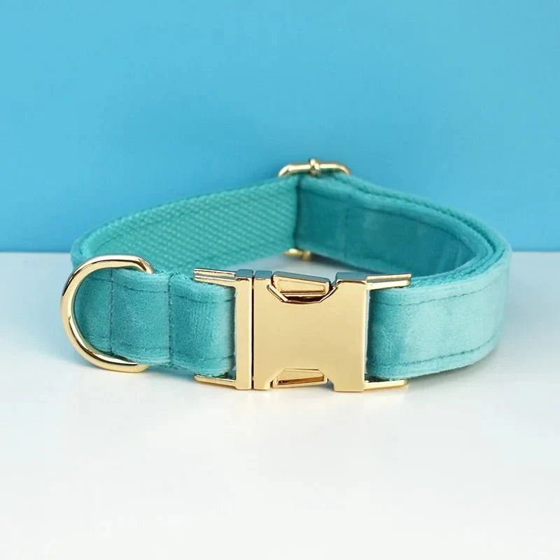 Collier pour chien design en velours bleu clair avec boucle dorée élégante pour chiens stylés