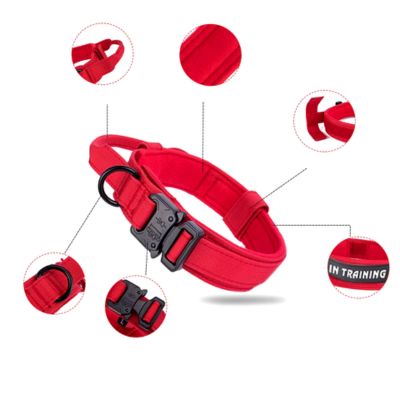 Collier pour chien - Tactique