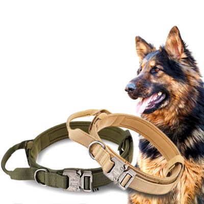 Collier pour chien - Tactique