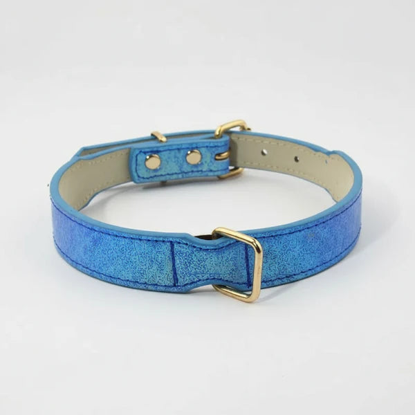 Collier pour chien imitation crocodile bleu avec boucle dorée et doublure beige par Oscar et Plume