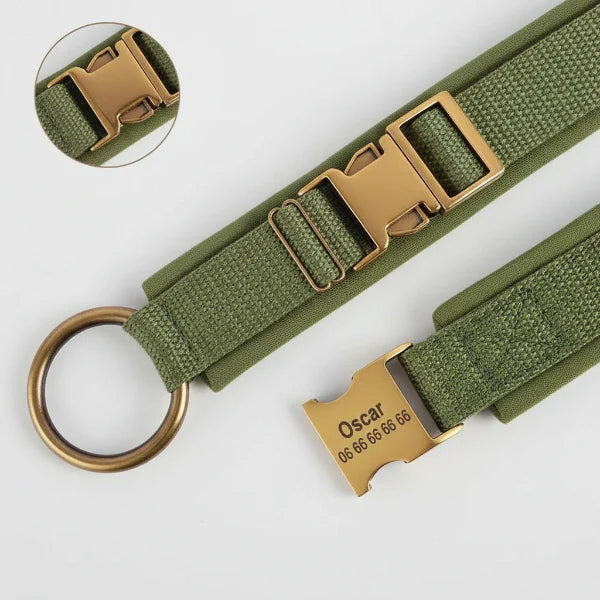 Collier Pour Chien Personnalisable Rembourré
