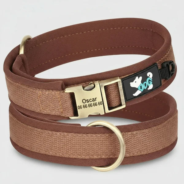 Collier Pour Chien Personnalisable Rembourré