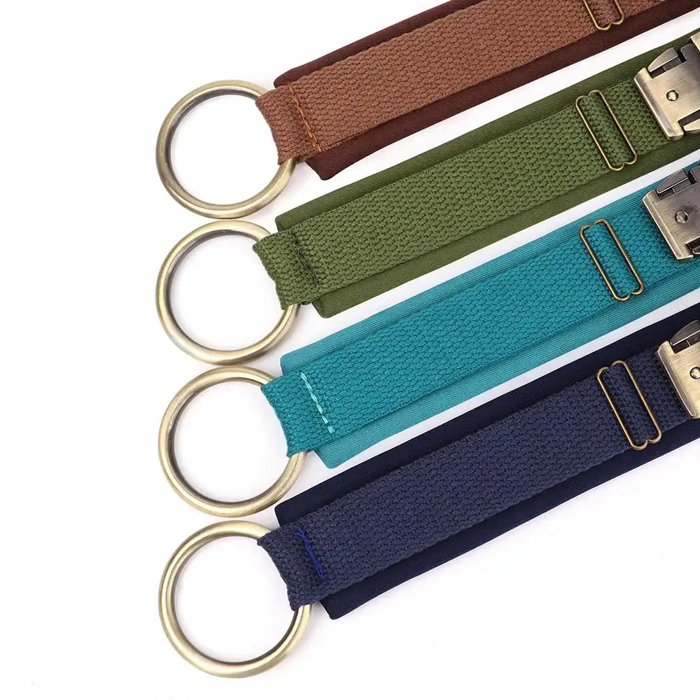 Collier Pour Chien Personnalisable Rembourré