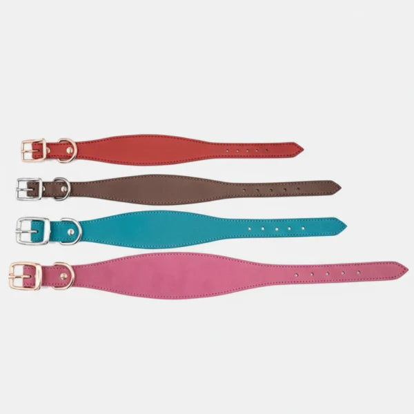 Collier Large En Cuir Véritable Pour Lévrier