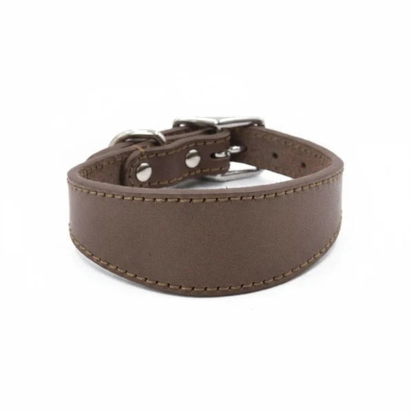 Collier pour lévrier en cuir marron avec doublure souple pour un confort optimal