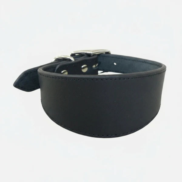 Collier pour lévrier en cuir noir élégant et résistant avec boucle en métal