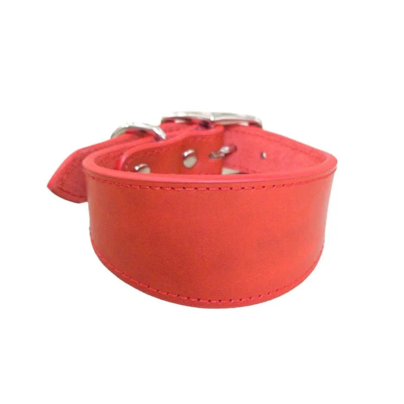 Collier pour lévrier en cuir rouge avec boucle métallique pour un ajustement sécurisé