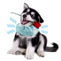 Collier Rafraichissant pour Chien