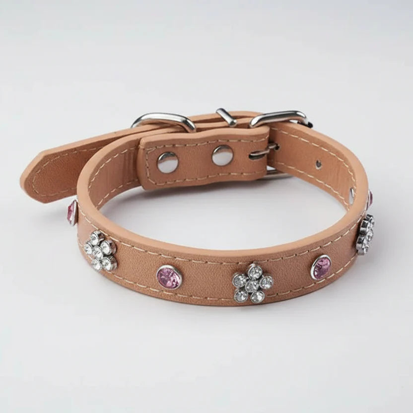 Collier En Simili Cuir Pour Petit Chien