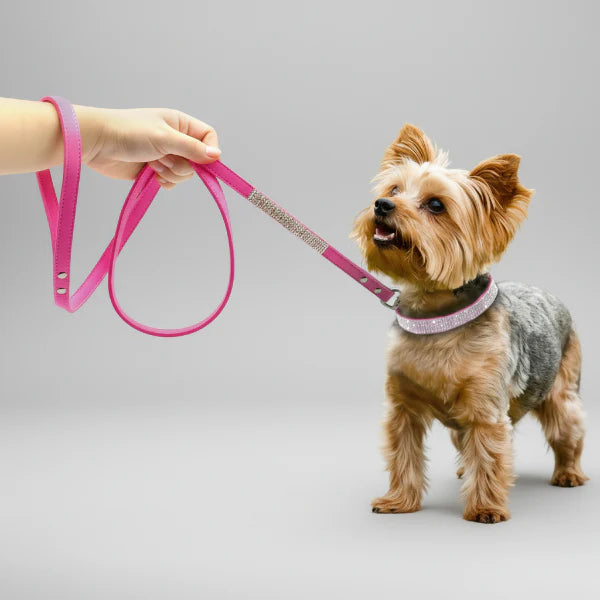 Collier pour Chien Oscar et Plume en pierres fines, stylé et ultra résistant