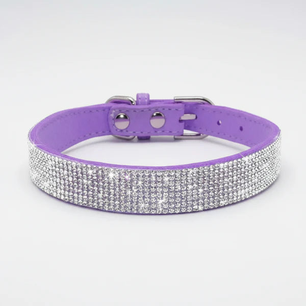 Collier strass pour chien en cuir violet orné de cristaux brillants pour un look élégant