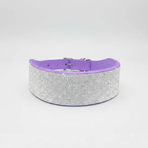 Collier strass pour chien en cuir violet avec un design scintillant et élégant