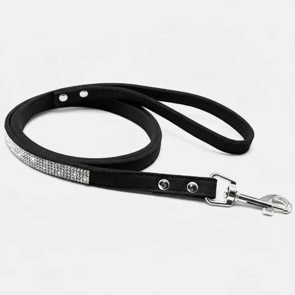 Laisse noire avec strass pour chien, idéale pour une promenade élégante et confortable