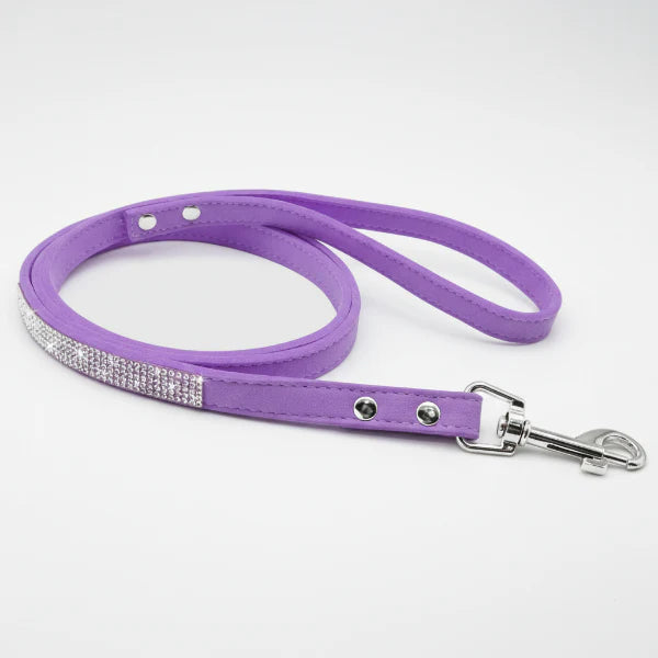 Laisse pour chien violette avec strass, idéale pour promener votre animal en style, collier strass pour chien