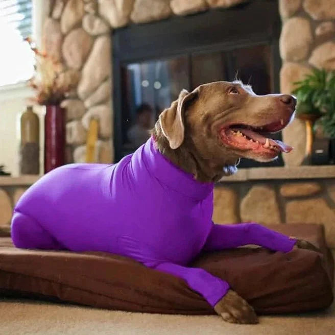 Combinaison Chien