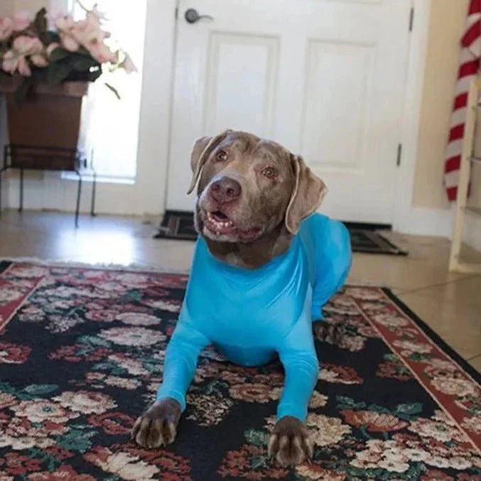 Combinaison Chien