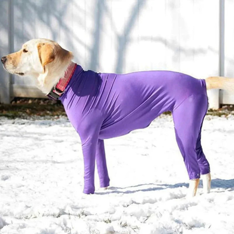 Combinaison Chien
