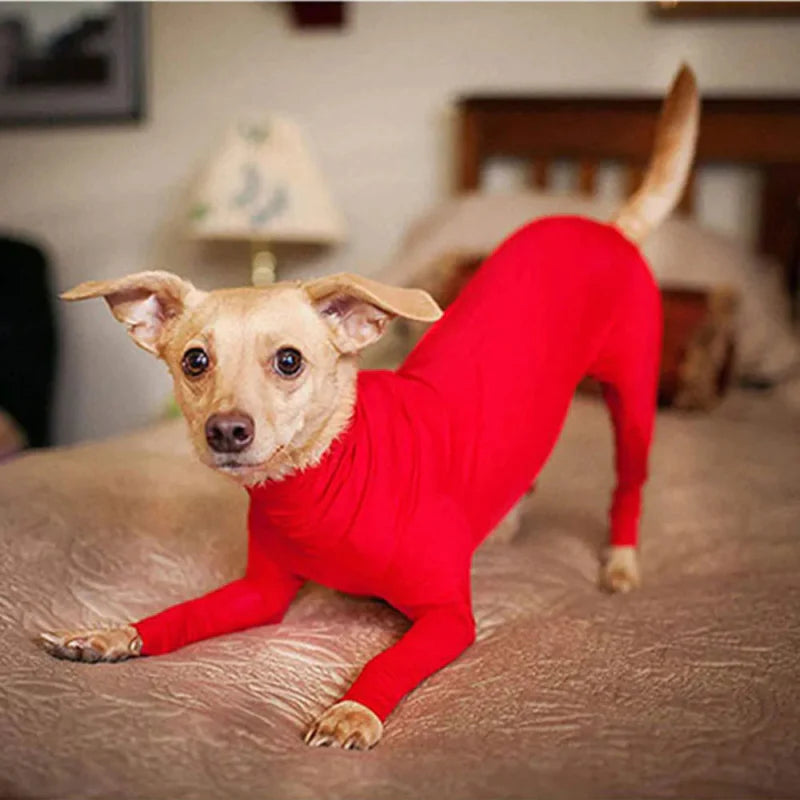 Combinaison Chien