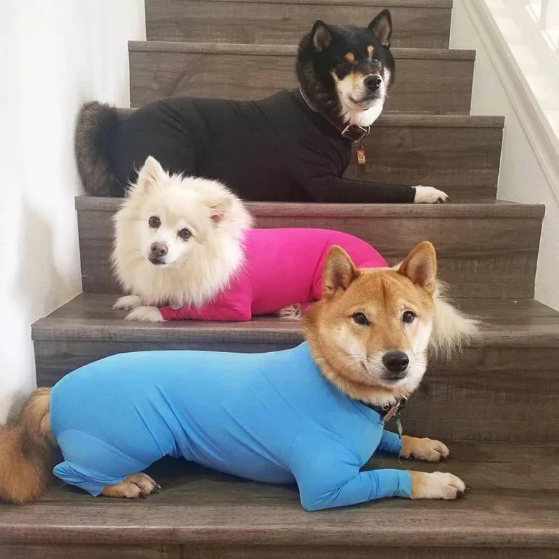 Combinaison Chien
