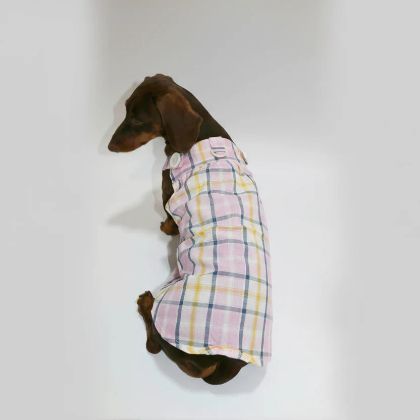 Combinaison  Été Léger Pour Chien Teckel