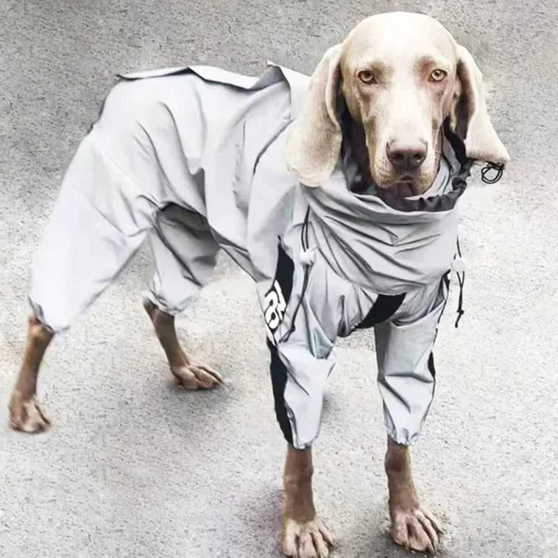 Combinaison Imperméable Chien