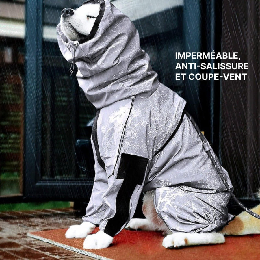 Combinaison Imperméable Chien