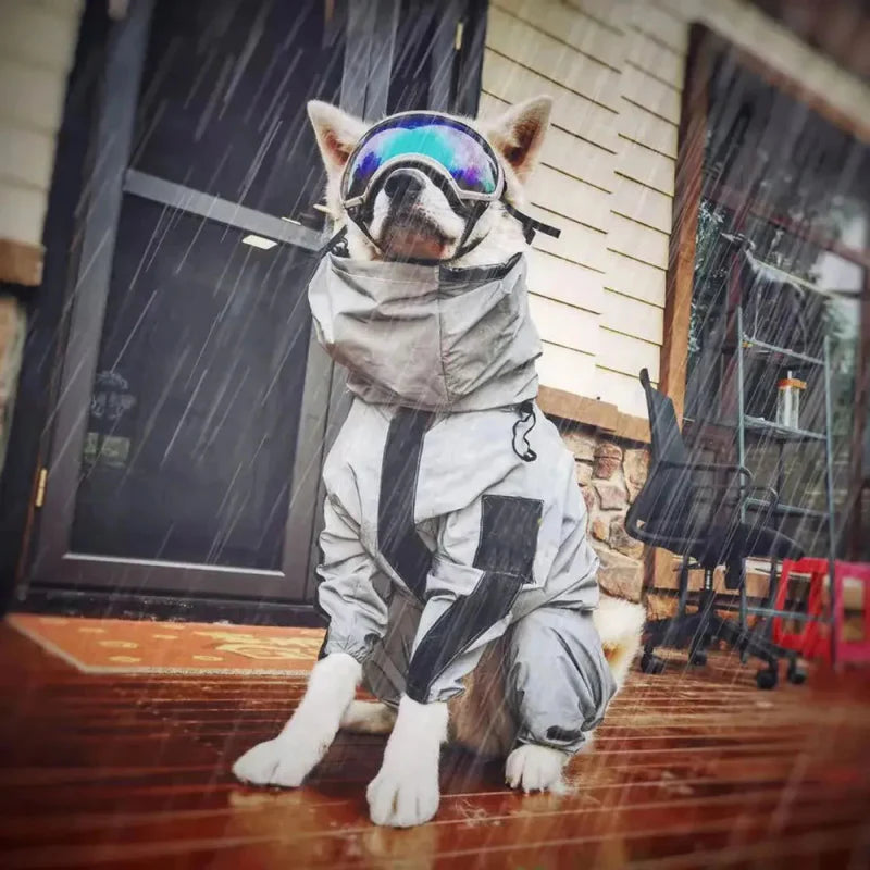 Combinaison Imperméable Chien