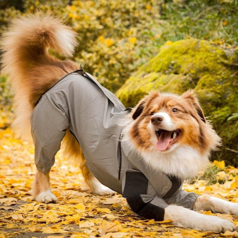 Combinaison Imperméable Chien