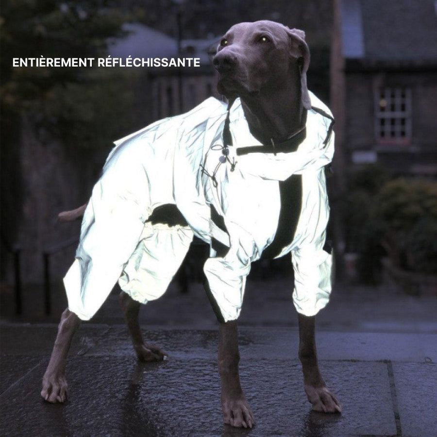 Combinaison Imperméable Chien