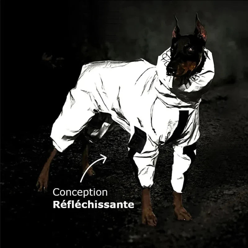 Combinaison Imperméable Chien