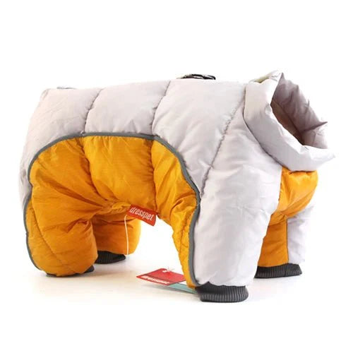 combinaison hiver chien