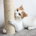 Corde arbre a chat | Sisal CatScratch