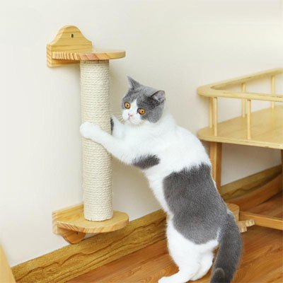 Corde arbre à chat | Feline Fix Cord