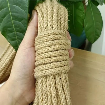 Corde pour arbre à chat | Sisal’Renew