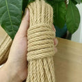 Corde pour arbre à chat | Sisal’Renew
