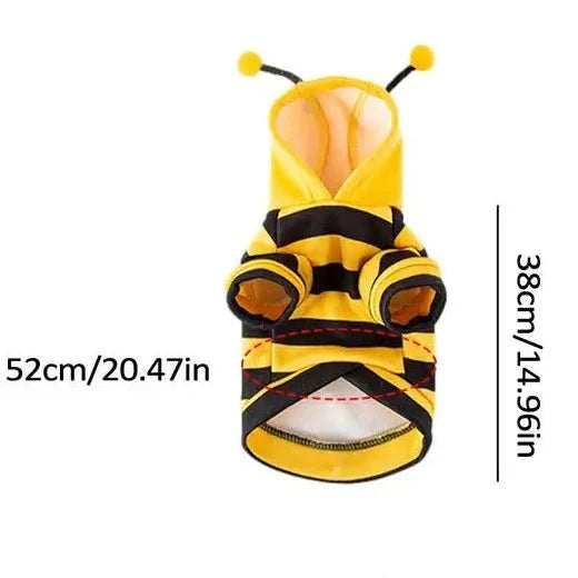 Costume Abeille Chat